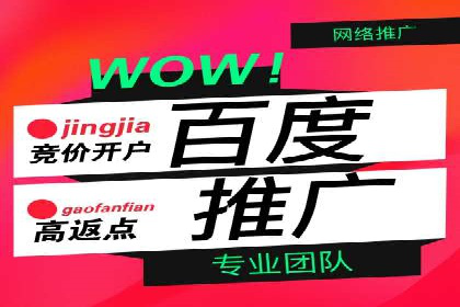 竞价广告的技巧与策略：网络推广的经典案例分享