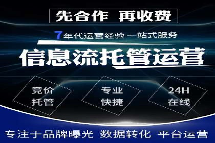 搜索引擎营销（SEM）的创意与执行——以多个行业成功案例为教学